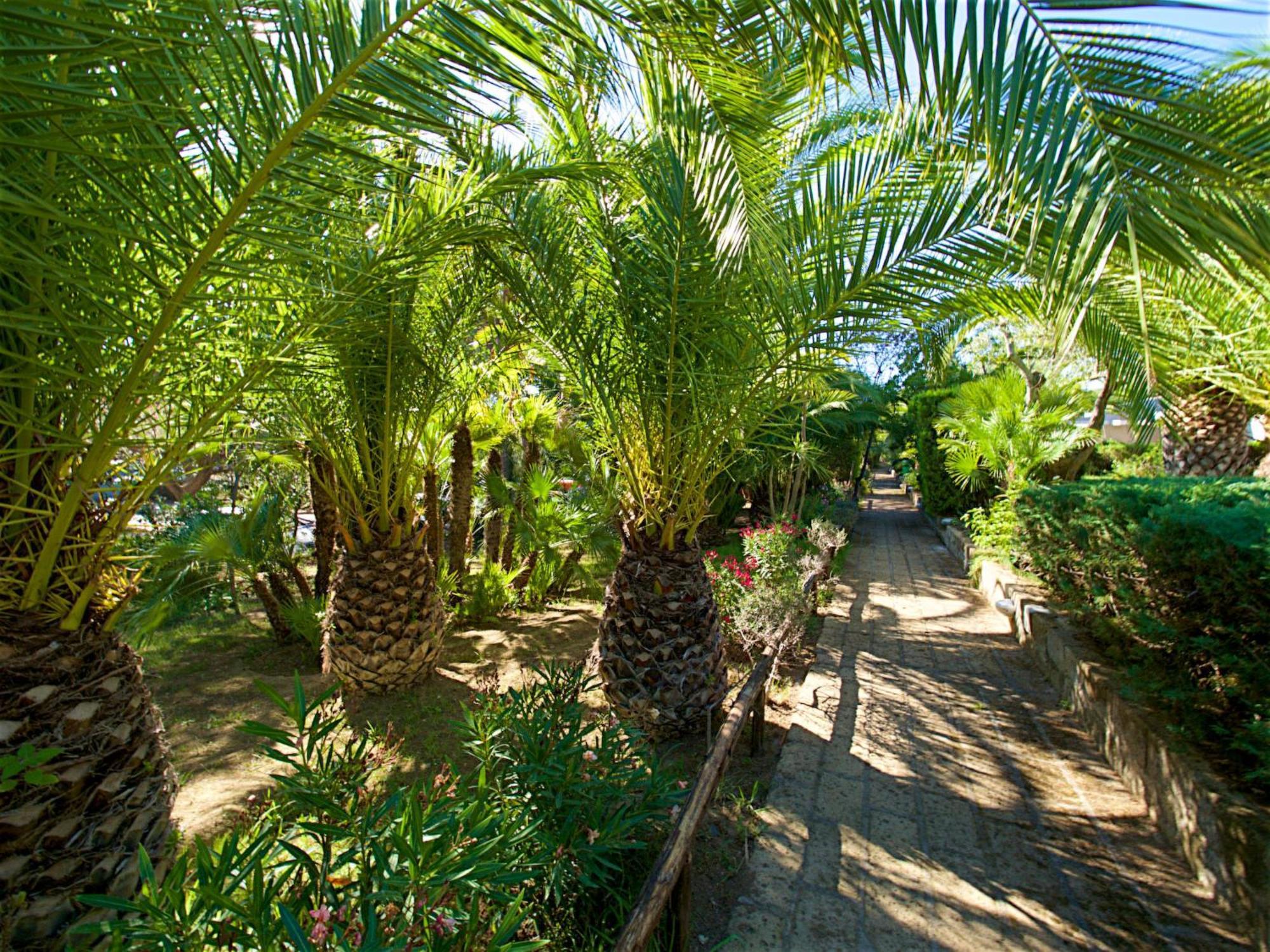Holiday Home Twoo-Room Comfort By Interhome Castiglione della Pescaia Exteriér fotografie